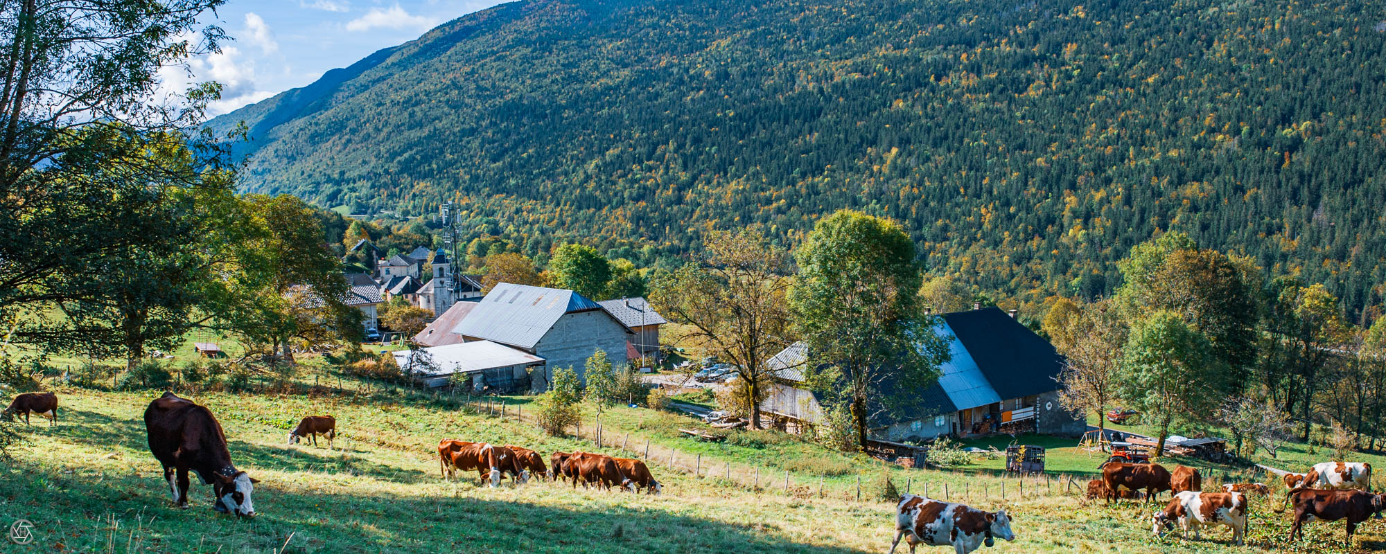 Elevages laitiers, vente à la ferme